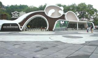 怎么去成都熊猫基地