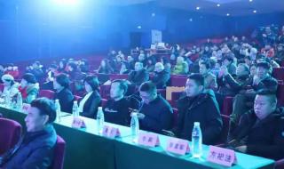 2011年星光大道总决赛