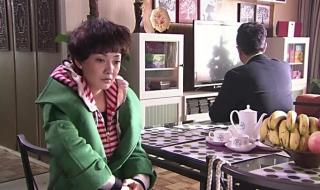 新女婿时代剧情介绍