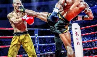 泰拳王播求比赛视频