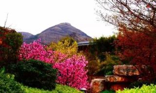 枣庄仙坛山温泉小镇