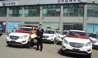 我在保险公司的日子