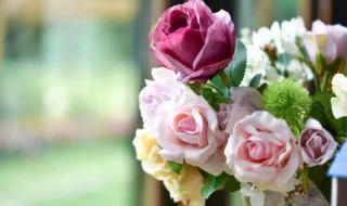 我在保险公司的日子