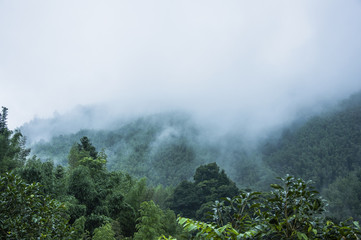 恐龙宝贝之龙神勇士3的主要人物 恐龙宝贝之龙神勇士3